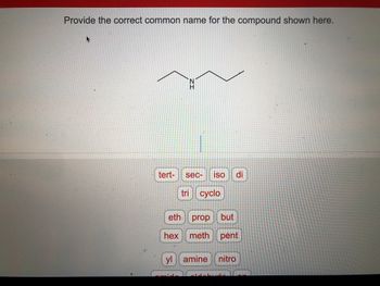 Provide the correct common name for the compound shown here.
tert-
ZI
N
sec- iso
tri cyclo
di
eth
prop but
hex meth pent
yl amine nitro