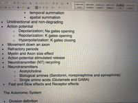 A A
Aa v Ao
O...
11
AaBbCcDdEe
AaBbCcDc AaBbCcDdE AaBb( AaBbCcDdEE
AaBbCcDdEe
U v ab
A ev A v
X,
Normal
No Spacing
Heading 1
Heading 2
Title
Subtitle
temporal summation
spatial summation
Unidirectional and non-degrading
Action potential
o Depolarization; Na gates opening
o Repolarization: K gates opening
o Hyperpolarization: K gates closing
Movement down an axon
Refractory periods
Myelin and Axon size effect
Action potential stimulated release
Neurotransmitter (NT) recycling
Neurotransmitters
o Acetylcholine
Biological amines (Serotonin, norepinephrine and epinephrine)
Single amino acids (Glutamate and GABA)
Fast and Slow effects and Receptor effects
The Autonomic System
Division definition
