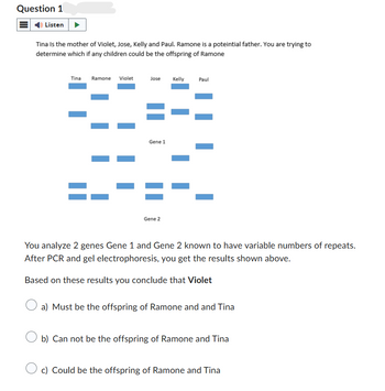 Question 1
Listen
Tina Is the mother of Violet, Jose, Kelly and Paul. Ramone is a potential father. You are trying to
determine which if any children could be the offspring of Ramone
Tina Ramone Violet
Jose
Kelly
Paul
==
=-
Gene 1
Gene 2
You analyze 2 genes Gene 1 and Gene 2 known to have variable numbers of repeats.
After PCR and gel electrophoresis, you get the results shown above.
Based on these results you conclude that Violet
a) Must be the offspring of Ramone and and Tina
b) Can not be the offspring of Ramone and Tina
c) Could be the offspring of Ramone and Tina