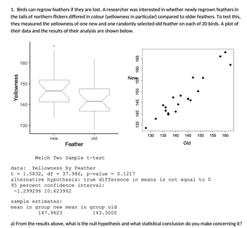 1. Birds can regrow feathers if they are lost. A researcher was interested in whether newly regrown feathers in
the tails of northern flickers differed in colour (yellowness in particular) compared to older feathers. To test this,
they measured the yellowness of one new and one randomly selected old feather on each of 20 birds. A plot of
their data and the results of their analysis are shown below.
Yellowness
160
150
140
130
new
X
Feather
old
Welch Two Sample t-test
=
data: Yellowness by Feather
t = 1.5832, df 37.986, p-value
165
sample estimates:
mean in group new mean in group old
147.9623
143.3000
160
New
155
150
145
140
135
= 0.1217
alternative hypothesis: true difference in means is not equal to 0
95 percent confidence interval:
-1.299296 10.623962
T
T
T
T
T
130 135 140 145 150 155 160
Old
a) From the results above, what is the null hypothesis and what statistical conclusion do you make concerning it?