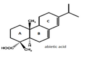 CH,
B
HOOC
abietic acid
CH,
