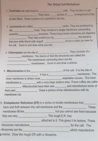 The Virtual Cell Worksheet
1. Centrioles are only found in
cells. They function in cell
They have
protein fibers. Draw a picture of a centriole in the box.
groups of
arrangement of the
2. Lysosomes are called
sacks. They are produced by
the
body. They consist of a single membrane surrounding
powerful,
enzymes. Those lumpy brown structures are digestive
the bacteria
They help protect you by
act as a clean up crew for
that your white blood cells engulf.
the cell. Zoom in and draw what you see.
3. Chloroplasts are the site of
They consists of a
membrane. The stacks of disk like structures are called the
The membranes connecting them are the
membranes. Zoom in and draw a picture.
of the cell. It is the site of
membrane. The
4. Mitochondrion is the
It has a
inner membrane is where most
respiration occurs. The inner
with a very large surface area. These ruffles are callec
and manufacture some of
Draw a picture of the mitochondrion with its
membranes is
Mitochondria have their own
their own
membrane cut.
5. Endoplasmic Reticulum (ER) is a series of double membranes that.
back and forth between the cell membrane and the
These
but you cannot see them because
The rough E.R. has
attached to it. This gives it its texture. These
membranes fill the
they are very
ribosomes manufacture
ribosomes are the
proteins. Draw the rough ER with a ribosome.
for the cell. The
which manufacture
