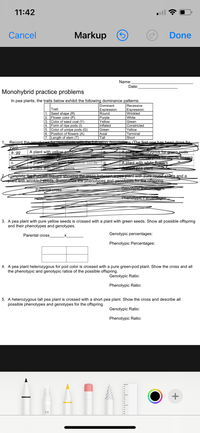 11:42
ll
Cancel
Markup
Done
Name:
Date:
Monohybrid practice problems
In pea plants, the traits below exhibit the following dominance patterns:
Recessive
Expression:
Wrinkled
Dominant
Expression:
Round
Purple
|Yellow
Inflated
Green
Trait:
1. Seed shape (R)
2. Flower color (P)
3.
White
Green
|Constricted
Yellow
Terminal
Short
Color of seed coat (Y)
Form of ripe pods (I)
4.
5.
|Color of unripe pods (G)
6.
Position of flowers (A)
7. Length of stem (T)
Axial
Tall
Record the genetvnes f-Der-- = foltrawino deserintins (The first one has been done for
you):
а. дg
A plant with yellow poás-
EplancteOZygous for ereen pods
N 0)e Owers
С.
A plant homozvaoue ycilow seeds
A plant with white flowers
TA piamt wilh areen seeds.
Complete the Punnett Squae showing the eress between a pea plant wth pure round seeds and a
plant with wrinkled seeds. Summanze the phenotypes and genotypes for the offspring.
Genolynic PorcentagCS.
Parental cross
PhenolypicPerceniageS
3. A pea plant with pure yellow seeds is crossed with a plant with green seeds. Show all possible offspring
and their phenotypes and genotypes.
Parental cros
_X_
Genotypic percentages:
Phenotypic Percentages:
4. A pea plant heterozygous for pod color is crossed with a pure green-pod plant. Show the cross and all
the phenotypic and genotypic ratios of the possible offspring.
Genotypic Ratio:
Phenotypic Ratio:
5. A heterozygous tall pea plant is crossed with a short pea plant. Show the cross and describe all
possible phenotypes and genotypes for the offspring.
Genotypic Ratio:
Phenotypic Ratio:
+
73
