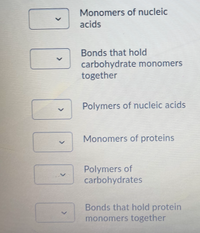 Monomers of nucleic
acids
Bonds that hold
carbohydrate monomers
together
Polymers of nucleic acids
Monomers of proteins
Polymers of
carbohydrates
Bonds that hold protein
monomers together
