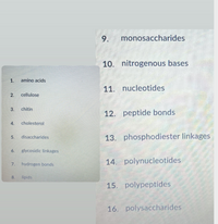 9.
monosaccharides
10. nitrogenous bases
1.
amino acids
11. nucleotides
2.
cellulose
3.
chitin
12. peptide bonds
4.
cholesterol
disaccharides
13. phosphodiester linkages
5.
6.
glycosidic linkages
14. polynucleotides
7.
hydrogen bonds
8.
lipids
15. polypeptides
16. polysaccharides
