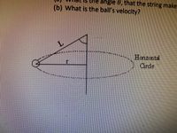 (b) What is the ball's velocity?
e angle 8, that the string make
L.
Horizontal
Cirde
