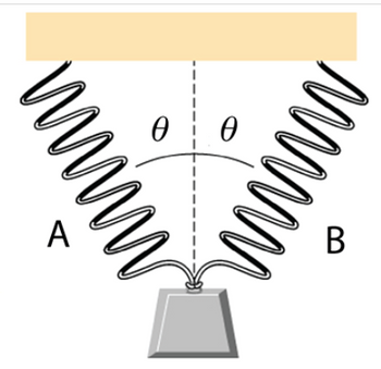 Answered: Two Identical Springs, A And B, Each… | Bartleby