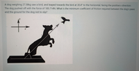 A dog weighing 27.38kg saw a bird, and leaped towards the bird at 30.4° to the horizontal, facing the positive x direction.
The dog pushed off with the force of 185.714N. What is the minimum coefficient of friction required between the dog's paws
and the ground for the dog not to slip?
