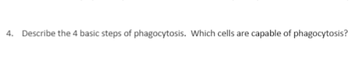 4. Describe the 4 basic steps of phagocytosis. Which cells are
capable of phagocytosis?