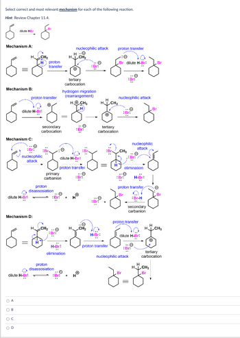 Select correct and most relevant mechanism for each of the following reaction.
Hint: Review Chapter 11.4.
Mechanism A:
nucleophilic attack proton transfer
H.O
HCH₂
6-8=8²²²6
tertiary
carbocation
hydrogen migration
(rearrangement)
H CH3
H
Mechanism B:
dilute HBr
Mechanism C:
dilute H-Br:
OA
O
O
Mechanism D:
B
dilute H-Br:
C
D
dilute H-Br:
=
CH₂
nucleophilic
attack
Br
H proton
proton transfer
transfer
secondary
carbocation
proton
disassosiation
CH₂
primary
carbanion
Br
=
dilute H-Br:
proton
disassosiation
proton transfer
H-Br:
elimination
H.
Br:
CH₂
H
H CH3
H-Br:
+
tertiary
carbocation
proton transfer
Br dilute H-Br:
nucleophilic attack
:Br
CH₂
elimination
H-Br:
proton transfer,
Br
Br
Br-H
secondary
carbanion
proton transfer
nucleophilic
attack
dilute H-Br:
Bri
nucleophilic attack
=
Br
Br
H
H CH3
H
H₂ CH3
.Br
tertiary
carbocation