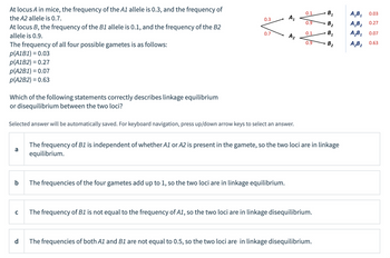 At locus A in mice, the frequency of the A1 allele is 0.3, and the frequency of
the A2 allele is 0.7.
At locus B, the frequency of the B1 allele is 0.1, and the frequency of the B2
allele is 0.9.
The frequency of all four possible gametes is as follows:
p(A1B1) = 0.03
p(A1B2) = 0.27
p(A2B1) = 0.07
p(A2B2) = 0.63
Which of the following statements correctly describes linkage equilibrium
or disequilibrium between the two loci?
a
b
Selected answer will be automatically saved. For keyboard navigation, press up/down arrow keys to select an answer.
с
0.3
d
0.7
A₂
The frequencies of the four gametes add up to 1, so the two loci are in linkage equilibrium.
B₁
B₂
0.1 B₁
0.9
0.1
0.9
The frequency of B1 is independent of whether A1 or A2 is present in the gamete, so the two loci are in linkage
equilibrium.
The frequency of B1 is not equal to the frequency of A1, so the two loci are in linkage disequilibrium.
The frequencies of both A1 and B1 are not equal to 0.5, so the two loci are in linkage disequilibrium.
A₁B₁
0.03
A₁B₂ 0.27
A₂B₁
0.07
A₂B₂ 0.63