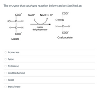 The enzyme that catalyzes reaction below can be classified as:
CoO
COO
NAD+
NADH + H*
Но-
|
malate
-C-
H-Ć-
dehydrogenase
Охaloacetate
Malate
isomerase
lyase
hydrolase
oxidoreductase
ligase
transferase
