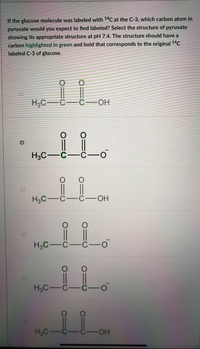 Answered: If the glucose molecule was labeled… | bartleby