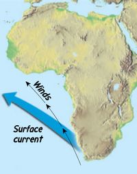 Surface
current
Winds
