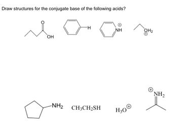 Draw structures for the conjugate base of the following acids?
Son
OH
-NH₂
H
CH3CH₂SH
NH
H30 Ⓡ
OH₂
+
NH₂