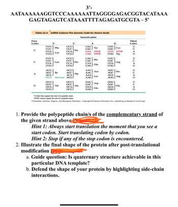 3'-
AATAAAAAAGGTCCCAAAAAATTAGGGGAGACGGTACATAAA
GAGTAGAGTCATAAATTTTAGAGATGCGTA - 5'
Table 22.4 mRNA Codons: The Genetic Code for Amino Acids
Second Letter
First
Letter
U
C
A
G
Third
Letter
UUU
Phe
UUC
U
UUA
UCU
UCC
UCA
Ser
Leu
UUG
UCG
UAU
UAC Tyr
UAA STOP
UAG STOP
UGU
U
UGC Cys
UGA
UGG Trp
STOP
A
G
CUU
CCU
CUC
CCC
CAC
CAU His
CGU
CGC
C
Leu
Pro
Arg
CUA
CCA
CAA
CGA
Gln
CUG
CCG.
CAG
CGG
AUU
ACU
AAUT
AGU
Asn.
AUC
Ile
ACC
AAC
A
Thr
AGC Ser
AUA
ACA
AAA
AGA
"AUG
Met/start ACG
AAG Lys
AGG
Arg
GUU
GCU
GAU
GUC
GCC
G
Val
Ala
GAC Asp
GGU
U
GGC
GUA
GUG
GCA
GAA
GGA
Gly
Glu
GCG
GAG
GGG
"Codon that signals the start of a peptide chain.
STOP codons signal the end of a peptide chain.
Timberlake, General, Organic, and Biological Chemistry. Copyright Pearson Education Inc.. publishing as Benjamin Cummings
1. Provide the polypeptide chain/s of the complementary strand of
the given strand above
Hint 1: Always start translation the moment that you see a
start codon. Start translating codon by codon.
Hint 2: Stop if any of the stop codon is encountered.
2. Illustrate the final shape of the protein after post-translational
modification
a. Guide question: Is quaternary structure achievable in this
particular DNA template?
b. Defend the shape of your protein by highlighting side-chain
interactions.