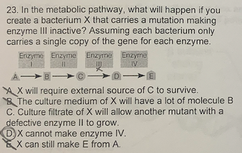 23. In the metabolic pathway, what will happen if you
create a bacterium X that carries a mutation making
enzyme III inactive? Assuming each bacterium only
carries a single copy of the gene for each enzyme.
Enzyme Enzyme Enzyme Enzyme
A- B C
IV
X will require external source of C to survive.
The culture medium of X will have a lot of molecule B
C. Culture filtrate of X will allow another mutant with a
defective enzyme II to grow.
DX cannot make enzyme IV.
X can still make E from A.