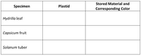 Stored Material and
Specimen
Plastid
Corresponding Color
Hydrilla leaf
Capsicum fruit
Solanum tuber
