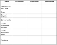 Criteria
Parenchyma
Collenchyma
Sclerenchyma
Location in the
plant body
Shape
Cell wall
thickness
Cell wall quality
(+/-) of
protoplast at
maturity
(+/-) of
intercellular
space
Function(s)
