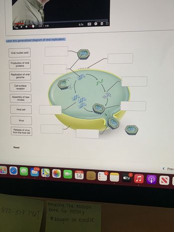 Answered: Label this generalized diagram of viral… | bartleby