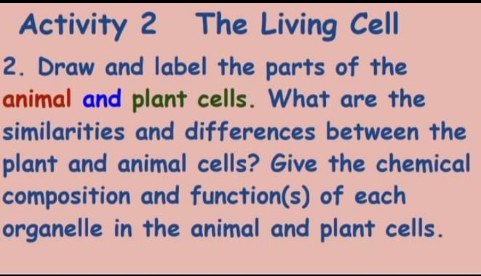 Answered: Activity 2 The Living Cell 2. Draw and… | bartleby