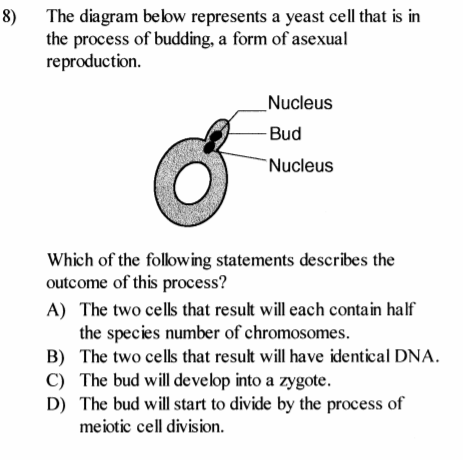 Answered: The diagram below represents a yeast… | bartleby