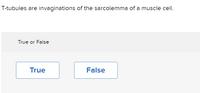 T-tubules are invaginations of the sarcolemma of a muscle cell.
True or False
True
False
