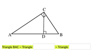 Answered: C A В D Triangle BAC ~ Triangle -… | bartleby