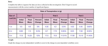 **Data:**

Complete the table to organize the data you have collected in this investigation. Don't forget to record measurements with the correct number of significant figures.

| Size of Leaf (in) | Trial 1                            | Trial 2                            | Trial 3                            |
|------------------|----------------------------------|----------------------------------|----------------------------------|
|                  | Initial Mass | Final Mass | Percent Change | Initial Mass | Final Mass | Percent Change | Initial Mass | Final Mass | Percent Change |
| 1 in             | 4.5          | 4.6        | 3%             | 4.35         | 4.2        | 3.5%           | 4.55         | 4.45       | 3.65%          |
| 2 in             | 8.00         | 7.3        | 9.3%           | 8.7          | 7.75       | 9.35%          | 8.25         | 7.50       | 8.35%          |
| 3 in             | 17.0         | 15.25      | 12%            | 17.5         | 15.5       | 11.51%         | 17.00        | 15.10      | 11.45%         |

**Graph:**

Graph the change in your independent variable (x-axis) to the change in your dependent variable (y-axis).