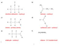 a)
b)
CH,
н — с-
C - H
с — сн, — Сн,
C
-
-
H
H
Alcohols (alkanols) - hydroxyl
ketones - carbonyl
c)
H
(P
H
H - C
-
|
H
H
Amine primary amine
carboxylic acid - carboxyl
e)
H
H
f)
CH,CHCHCH,
H - C
-
H
aldehyde - carbonyl
alkene - C=C double bond
I -U
