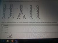 The diagrant below shows an important process that occurs in the ucleus of a cell
3 2
If there are no mutations during this process, which of the following pairs of strands will have identical base sequences?
1 and 2
1 and 4
2 and 4
O 3 and 4
Previous
