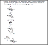 2. Identify the carbon atoms of the carbohydrate rings at which the oxidation takes
place by circling the carbon atoms in the structure that become an aldehyde or
ketone group. Note: do this for the reducing sugars only!
H
-OH
H HO
Po-glucose
он
HO
OCH,
methyl e-D-glucoside
но.
HO OH
OH
a-D-fructone
он
HO
HO
HO, H
HỌ
HO-
OH
Suarose
HO-
HO
maltose
