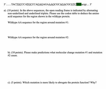 5'......TACTGCCCATGCCCAGAGAGAAAGCGCAGACGCGTCTAAactgt... 3'
a). (10 points). In the above sequences, the open reading frame is indicated by alternating
non-underlined and underlined triplets. Please use the codon table to deduce the amino
acid sequence for the region shown in the wildtype protein.
Wildtype AA sequence for the region around mutation #1:
Wildtype AA sequence for the region around mutation #2:
b). (10 points). Please make predictions what molecular change mutation #1 and mutation
#2 cause.
c). (5 points). Which mutation is more likely to abrogate the protein function? Why?