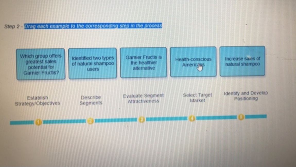 Step 2-Drag each example to the corresponding step in the process
Which group offers
greatest sales
potential for
Garnier Fructis?
Establish
Strategy/Objectives
Identified two types
of natural shampoo
users
Describe
Segments
Garnier Fructis is
the healthier
alternative
Evaluate Segment
Attractiveness
Health-conscious
Americans
Select Target
Market
Increase sales of
natural shampoo
Identify and Develop
Positioning