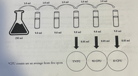 1.0 ml
1.0 ml
1.0 ml
1.0 ml
1.0 ml
9.0 ml
9.0 ml
9.0 ml
9.0 ml
9.0 ml
250 ml
0.01 ml
0.01 ml
0.01 ml
ΤNTC
92 CFU
13 CFU
*CFU counts are an average from five spots
