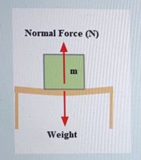 Answered: normal force | bartleby