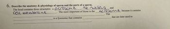 6. Describe the anatomy & physiology of sperm and the parts of a sperm.
The head contains three structures: a acrosome
cell membrane
the nucleus
The most important of those is the
is a lysosome that contains
and
acrosome because it contains
The
that are later used to