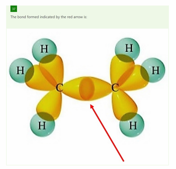 Answered: 37 The bond formed indicated by the red… | bartleby