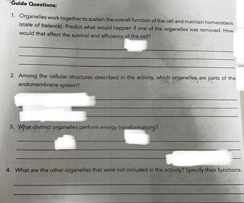 Guide Questions:
1. Organelles work together to sustain the overall function of the cell and maintain homeostasis
(state of balance). Predict what would happen if one of the organelles was removed. How
would that affect the survival and efficiency of the cell?
2. Among the cellular structures described in the activity, which
endomembrane system?
3. What distinct organelles perform energy transformations?
248MMUTO
hich organelles are parts of the
4. What are the other organelles that were not included in the activity? Specify their functions.