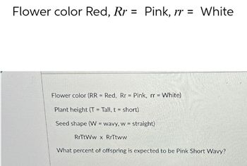 Flower color Red, Rr = Pink, rr = White
Flower color (RR = Red, Rr = Pink, rr = White)
Plant height (T=Tall, t = short)
=
Seed shape (W wavy, w straight)
RrTtWw x RrTtww
What percent of offspring is expected to be Pink Short Wavy?