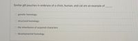 Similar gill pouches in embryos of a chick, human, and cat are an example of
genetic homology
O structural homology
the inheritance of acquired characters
O developmental homology
