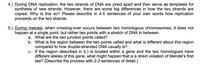 4.) During DNA replication, the two strands of DNA are pried apart and then serve as templates for
synthesis of new strands. However, there are some big differences in how the two strands are
copied. Why is this so? Please describe in 4-5 sentences of your own words how replication
proceeds on the two strands.
5.) During meiosis, when crossing-over occurs between two homologous chromosomes, it does not
happen at a single point, but rather two points with a stretch of DNA in between.
What are the two junction points called?
b. What is the region between the two points called and what is different about this region
compared to how double-stranded DNA usually is?
c. If the region described in b.) is located within a gene and the two homologues have
different alleles of this gene, what might happen that is a direct violation of Mendel's first
law? (Describe the process with 2-3 sentences of detail.)
a.
