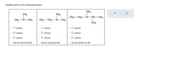 ## Classification of Amines

**Instructions:** Classify each of the molecules below.

### Molecule 1:

Structure:
```
   CH₃
   |
CH₃—N—CH₃
```

Options for classification:
- ○ 1° amine
- ○ 2° amine
- ○ 3° amine
- ○ not an amine at all

### Molecule 2:

Structure:
```
       CH₃
       |
CH₃—CH₂—N—CH₃
```

Options for classification:
- ○ 1° amine
- ○ 2° amine
- ○ 3° amine
- ○ not an amine at all

### Molecule 3:

Structure:
```
         CH₃
         |
CH₃—CH₂—N—CH—CH₃
           |
         CH₃
```

Options for classification:
- ○ 1° amine
- ○ 2° amine
- ○ 3° amine
- ○ not an amine at all

**Explanation on Classification:**

- **1° (primary) amine:** Nitrogen is bonded to one carbon atom.
- **2° (secondary) amine:** Nitrogen is bonded to two carbon atoms.
- **3° (tertiary) amine:** Nitrogen is bonded to three carbon atoms.
- **Not an amine:** The molecule does not fit into these categories.

**Note:** Analyze the structure of each molecule and classify them accordingly.