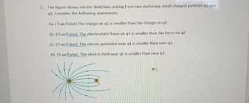 2. The figure shows electric field lines arising from two stationary small charged particles q1 and
q2. Consider the following statements:
2a. (True/False) The charge on q1 is smaller than the charge on q2.
2b. (True/False) The electrostatic force on q1 is smaller than the force on q2.
2c. (True/False) The electric potential near q1 is smaller than near q2.
2d. (True/False) The electric field near q1 is smaller than near q2.