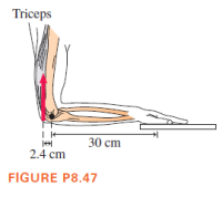 Triceps
30 cm
2.4 cm
FIGURE P8.47
