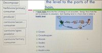 the level to the parts of the
hain.
Decomposer
herbivore/primary
D A food chain shows the flow of energy in an ecosystem. Energy flows from the
sun to producers to consumers. Each feeding level in a food chain is called a
frophic level.
consumer
producer
carnivore/secon...
consumer
ntrients
carnivore/apex
predator
o Grass:
o Grasshopper:
carnivore/tertiary
O Mouse:
O Snake:
consumer
a Hawk:
a Mushrooms:
