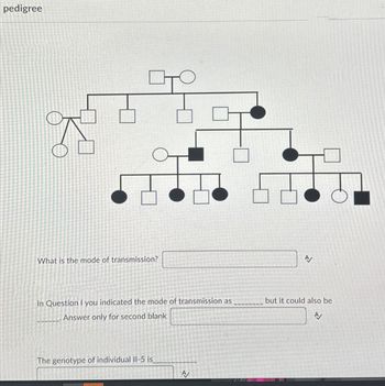 pedigree
What is the mode of transmission?
EV
In Question I you indicated the mode of transmission as
Answer only for second blank
but it could also be
A
The genotype of individual II-5 is
A