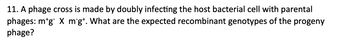 11. A phage cross is made by doubly infecting the host bacterial cell with parental
phages: mtg X mīgt. What are the expected recombinant genotypes of the progeny
phage?