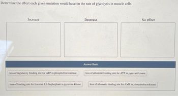 Determine the effect each given mutation would have on the rate of glycolysis in muscle cells.
Increase
loss of regulatory binding site for ATP in phosphofructokinase
loss of binding site for fructose 1,6-bisphophate in pyruvate kinase
Decrease
Answer Bank
No effect
loss of allosteric binding site for ATP in pyruvate kinase
loss of allosteric binding site for AMP in phosphofructokinase