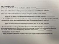 STEP 2 CITRIC ACID CYCLE:
1. Where specifically within the cell does the citric acid cycle take place?
2. How many carbons from the original glucose molecule enter each round of the citric acid cycle?
3. How many carbons exit out of the citric acid cycle during each round, as a waste product?
Where did the carbons in this waste product originally come from (what molecule)?
4. The role of NAD+ in the citric acid cycle is the same as in glycolysis; namely, to taxi the "harvested" or "extracted"
the energy from glucose. What additional molecule helps with this process in the citric acid cycle?
What, specifically, is the energy that is being harvested by NAD+ and this other molecule?
5. The video states that even though little ATP has been produced in cellular respiration up to this point (4 total
between glycolysis and the citric acid cycle), there is still more energy available. At the end of the citric acid cycle,
what specific molecules hold most of the energy "harvested" from glucose?
and
STEP 3 ELECTRON TRANSPORT CHAIN:
1. Where, specifically, is the Electron Transport Chain (ETC) of cellular respiration located within the cell?
